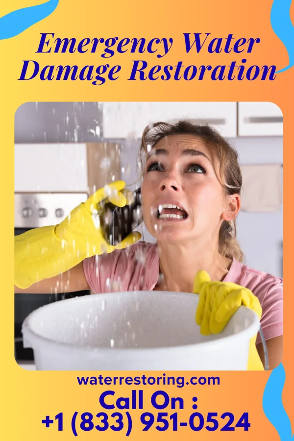 Emergency Water Damage Restoration in Ryland Heights, KY