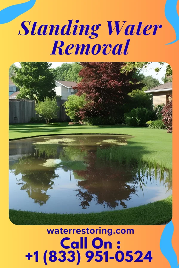 Standing Water Removal in Ryland Heights, KY